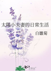 太陽小夫妻的日常生活